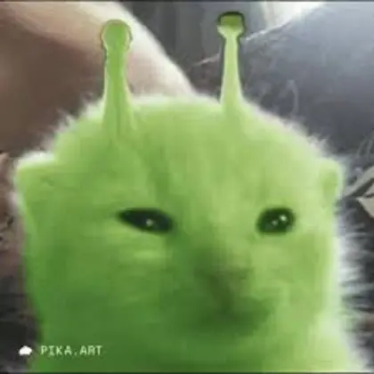 Jose's Profile picture